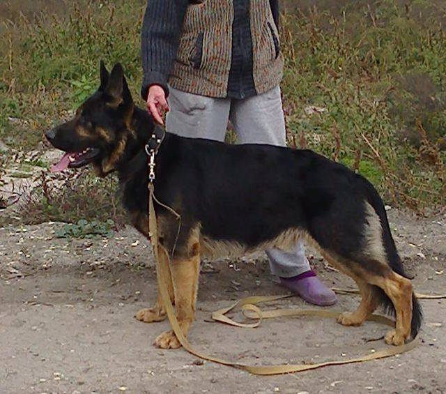 10881682 550425515095062 7345272984163485130 n