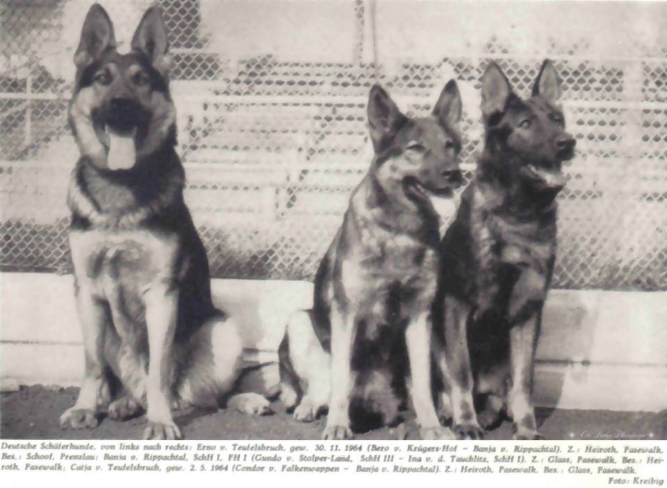 12033163 926967954015878 5058196430736677942 n