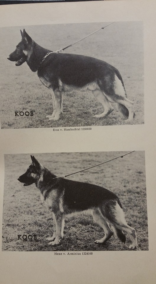 12316126 1133224690039667 6878633513884998523 n