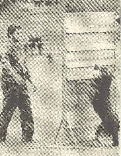 14469574 1193889870683595 471466084010468033 n