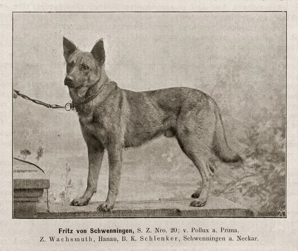 330285310 887229895832038 4739590437988153639 n