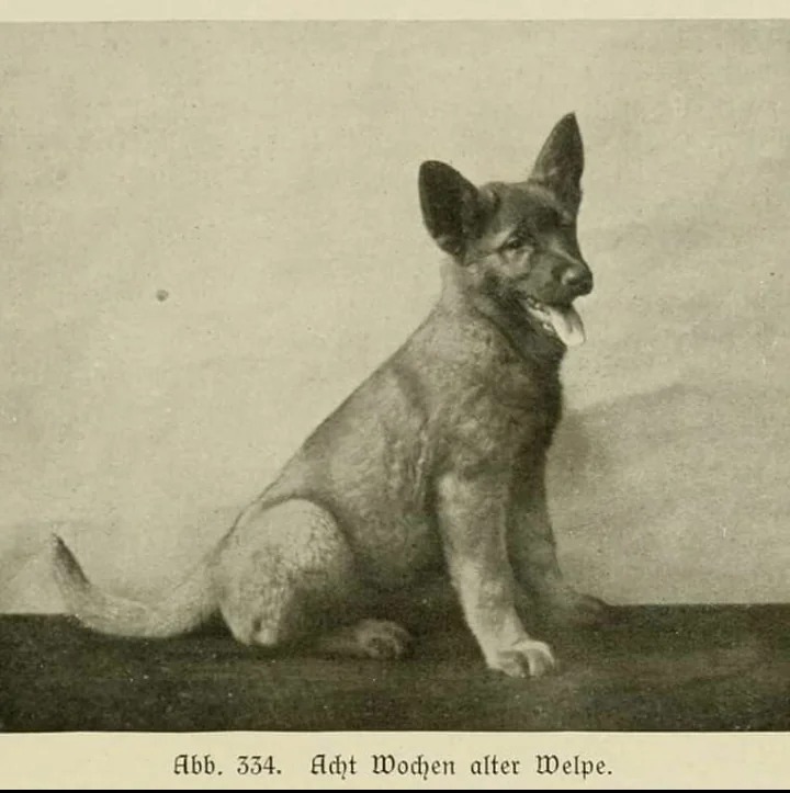 330302672 148336304783719 3186101945759244610 n