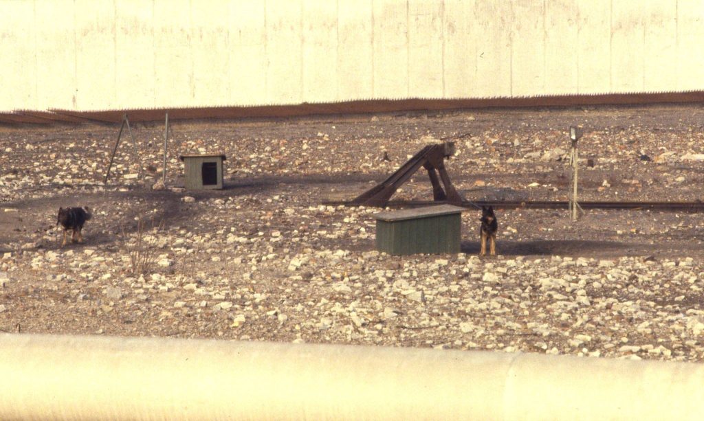 330356291 228624176214498 6557916654708252646 n