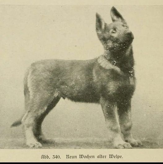 333577146 174130035383034 7965269182460195900 n